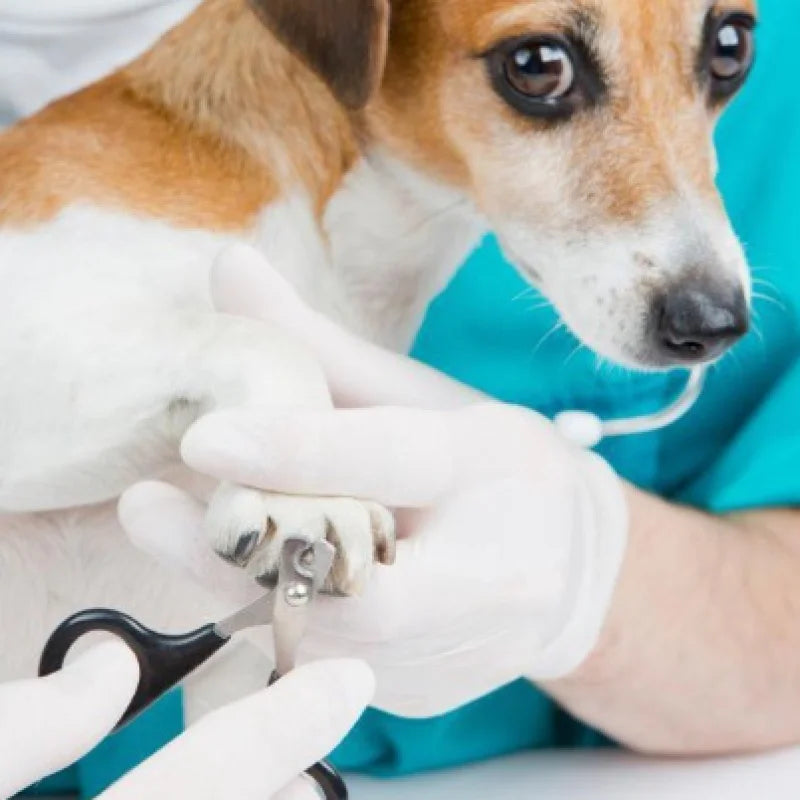 Cortador de Unhas para Pets